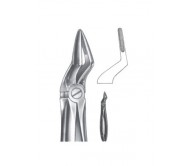 Extracting Forceps